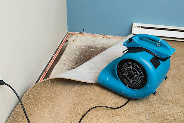 Best Basement water damage restoration  in Victor, ID
